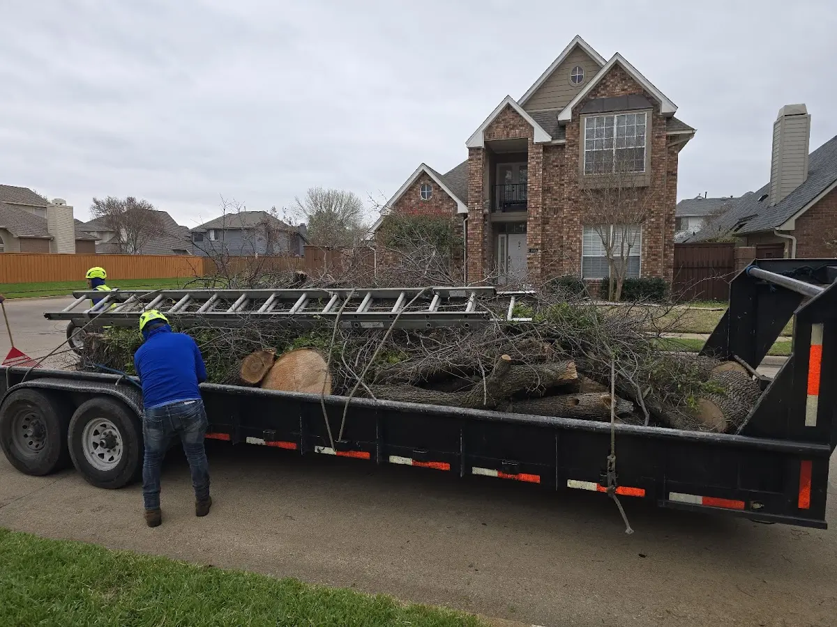 Expert Tree Pest Control with proper safety equipment in Germantown